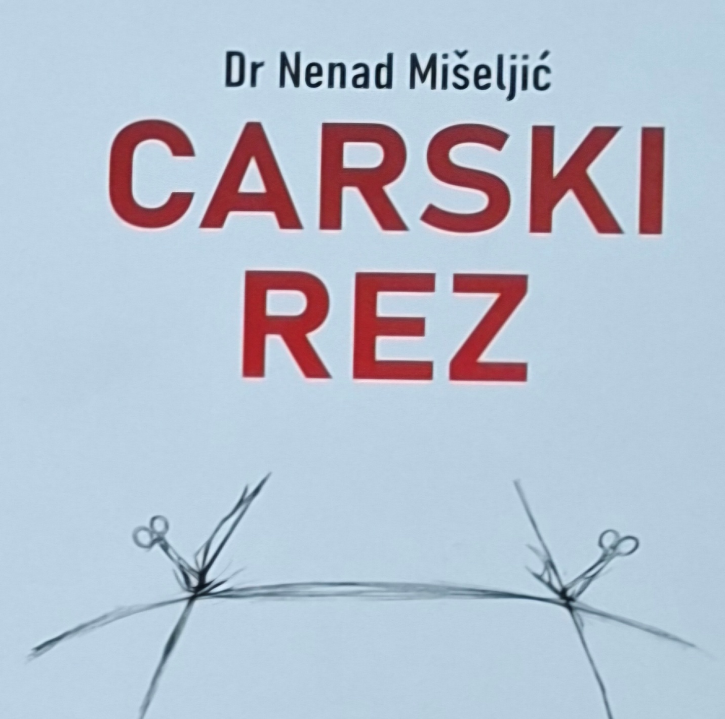 MiseljicBOOK